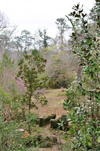 Hiking the trails offers you a first-hand look at nature