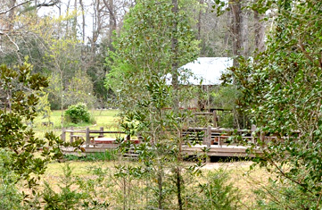 View of Lodge and deck from the woods